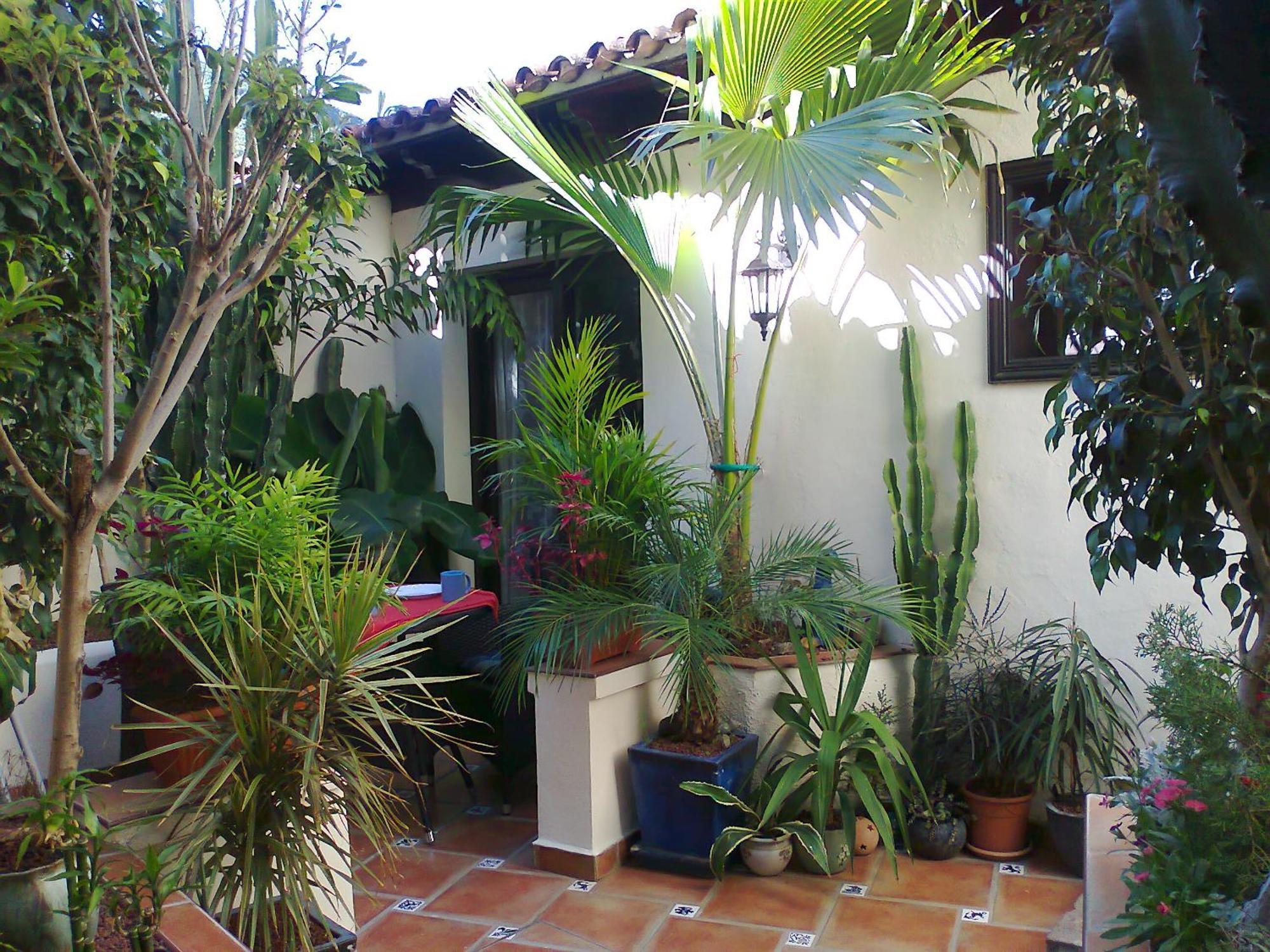 Apartamentos Monasterio De San Antonio - Adults Only Icod De Los Vinos Kamer foto